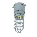 EX-27W-OY50CM1 Ledsion Hazardous Location LED Jelly Jar 27W 5000K 100-277V